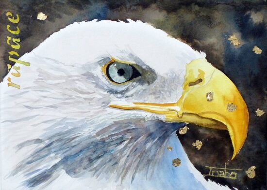 rapace